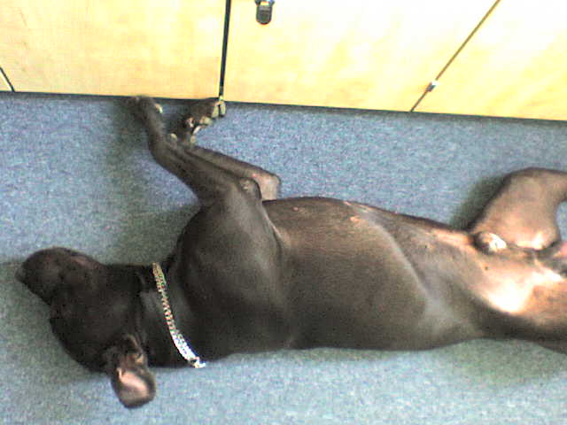 DSC00025.JPG