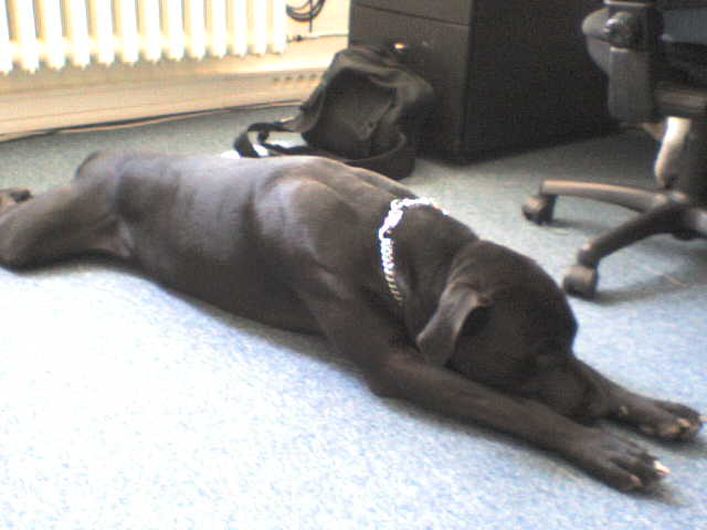 DSC00023.JPG