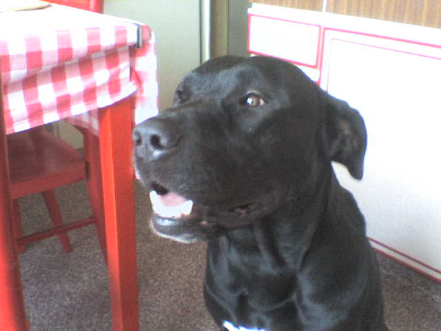 DSC00067.JPG