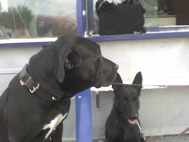 DSC00068.JPG