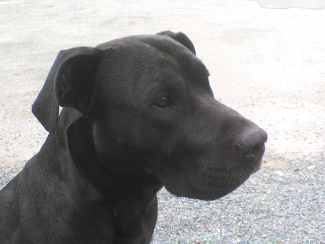 DSC00088.JPG