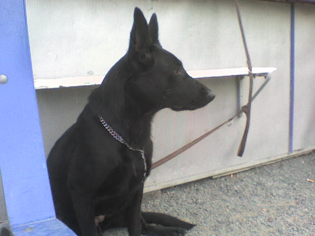 DSC00082.JPG
