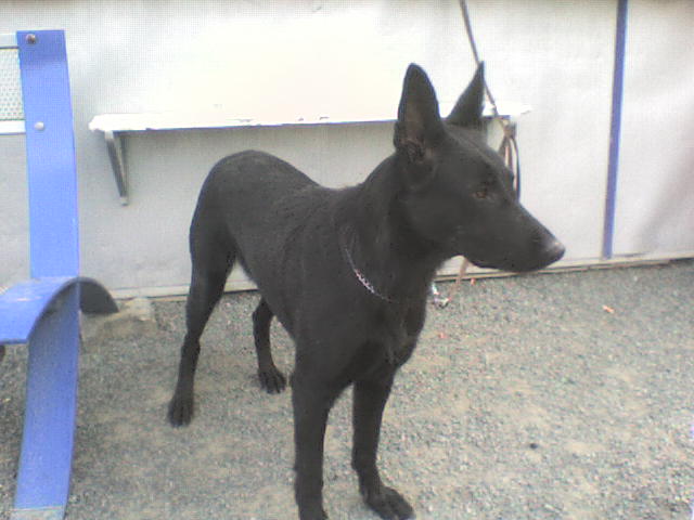 DSC00076.JPG