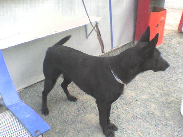 DSC00074.JPG
