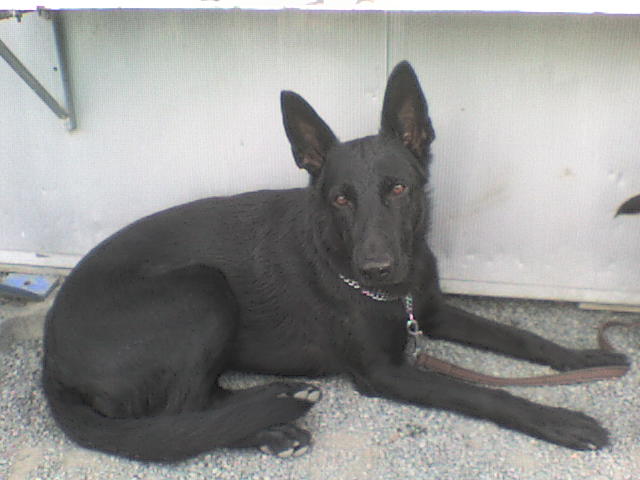DSC00071.JPG