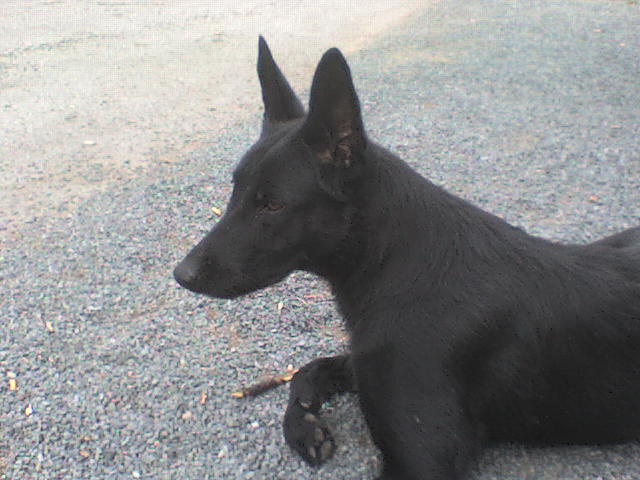 DSC00087.JPG