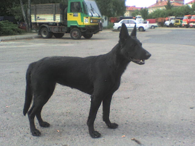 DSC00084.JPG