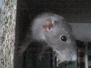 DSC00109.JPG