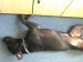 DSC00025.JPG