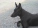 DSC00087.JPG