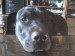 DSC00096.JPG