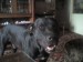 DSC00094.JPG