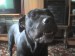 DSC00093.JPG