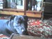DSC00091.JPG