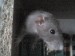 DSC00109.JPG
