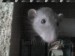 DSC00104.JPG